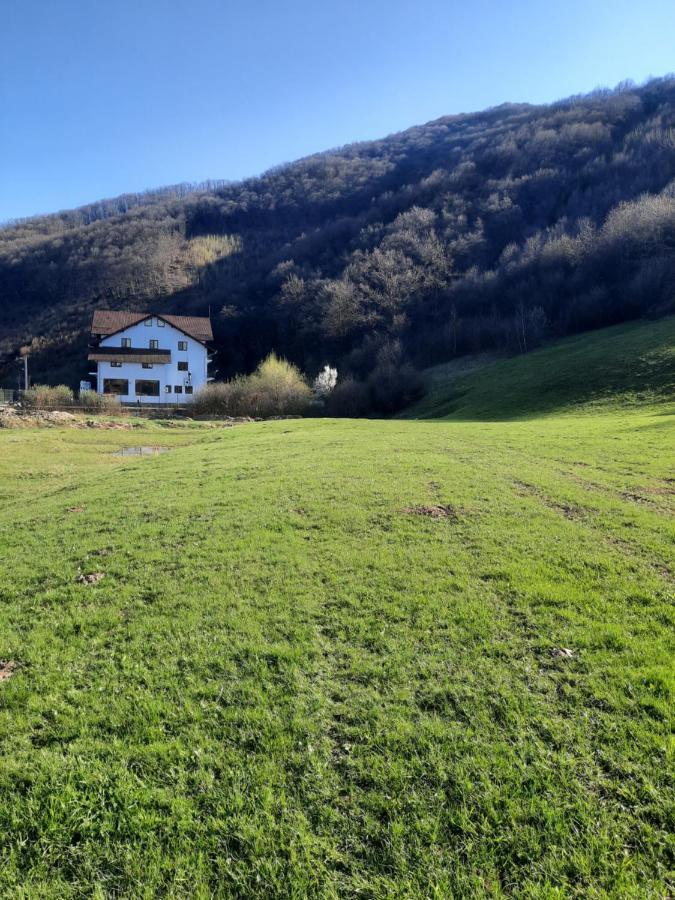 Pensiune Marginimea Sibiului Orlat Bagian luar foto