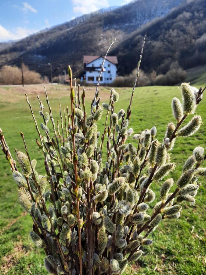 Pensiune Marginimea Sibiului Orlat Bagian luar foto